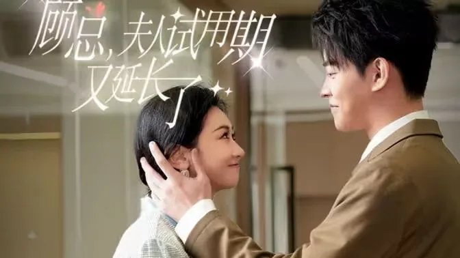 顾总，夫人试用期又延长了海报