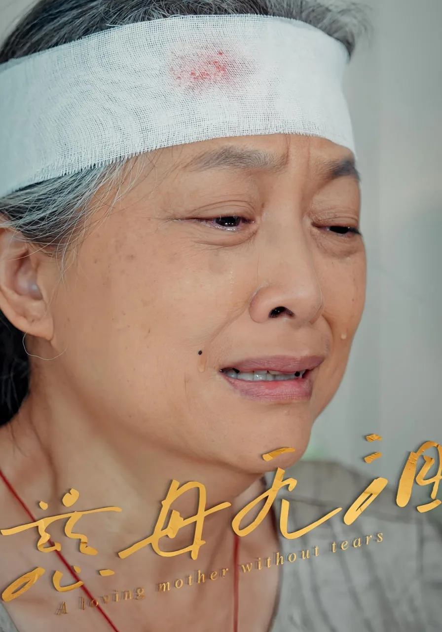慈母无泪海报