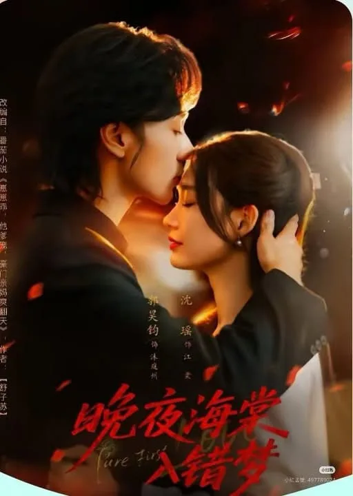 晚夜海棠入错梦海报