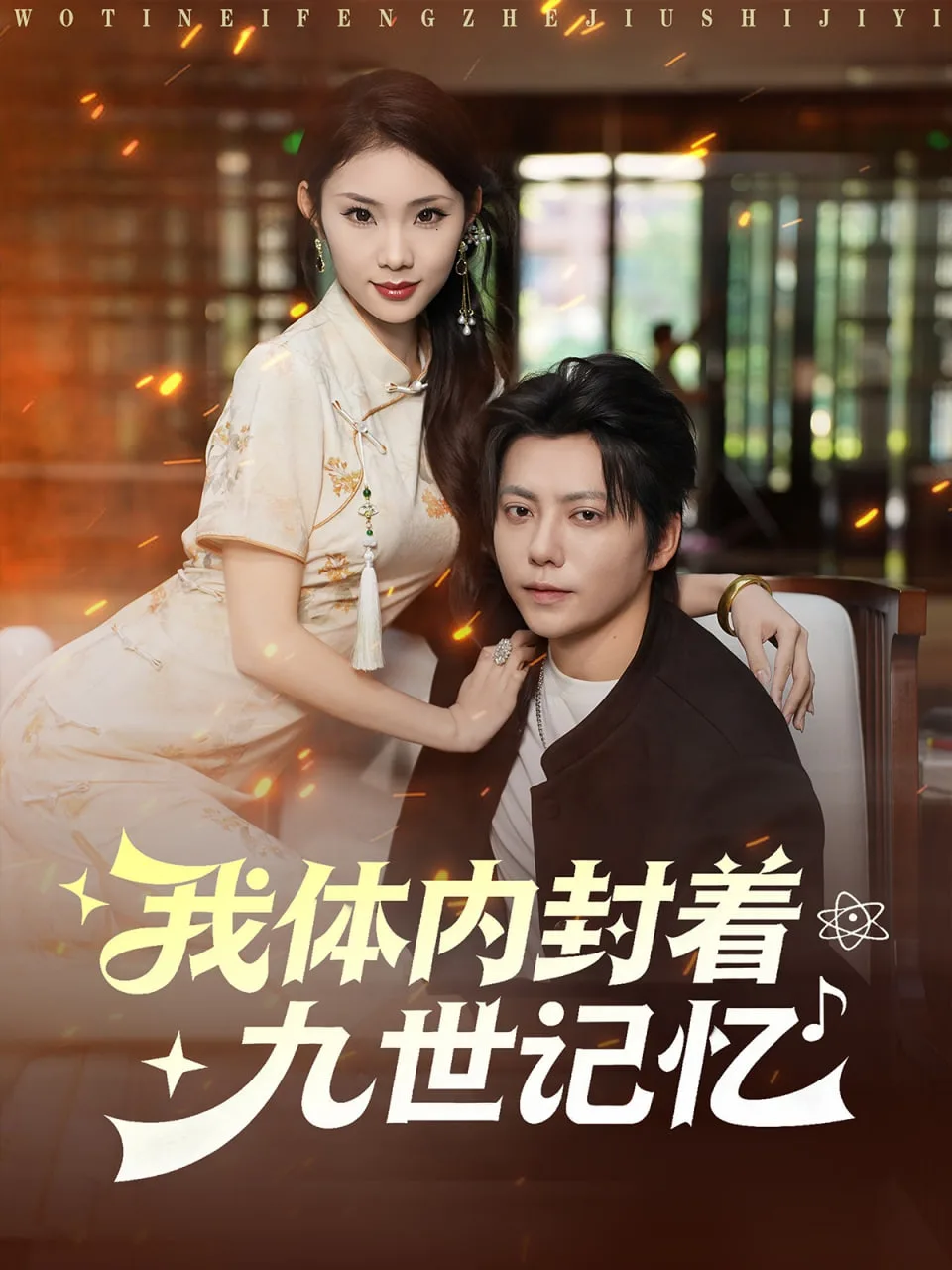 我体内封着九世记忆海报