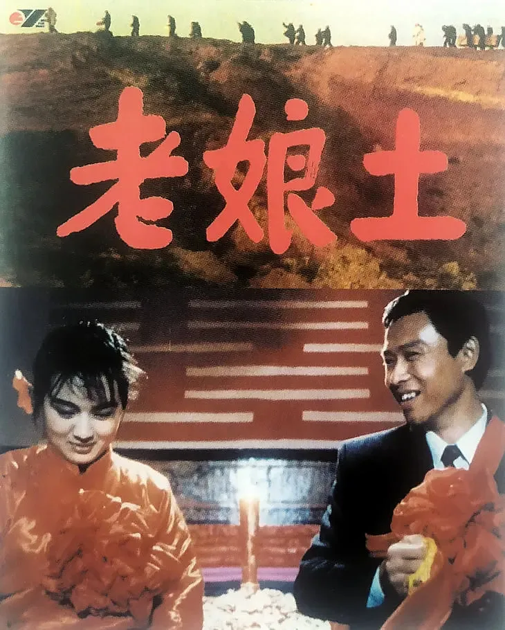 老娘土海报