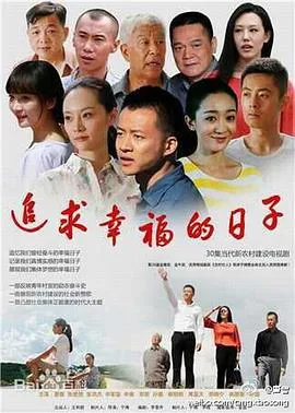 追求幸福的日子海报