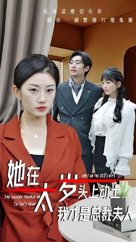 她在太岁头上动土，我才是总裁夫人海报