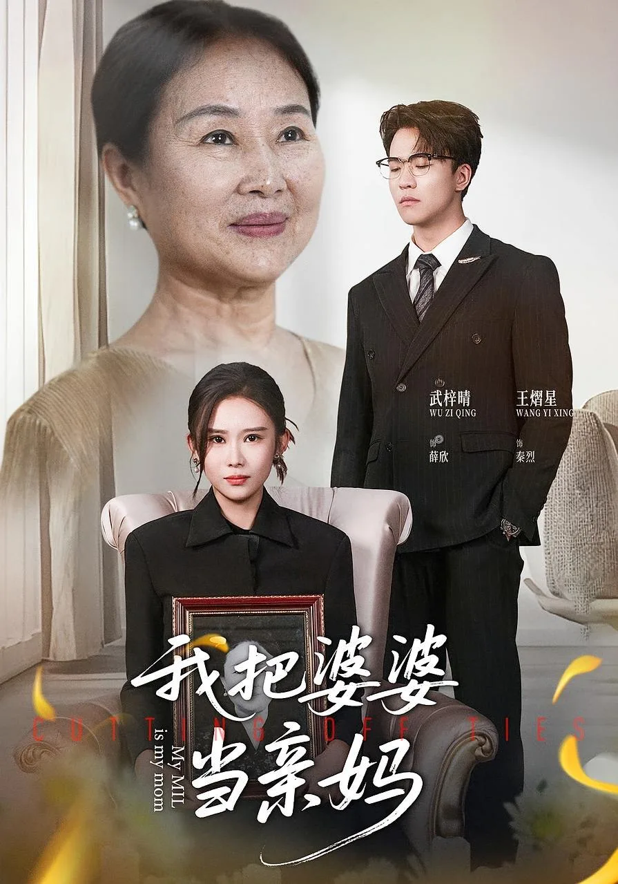 我把婆婆当亲妈海报