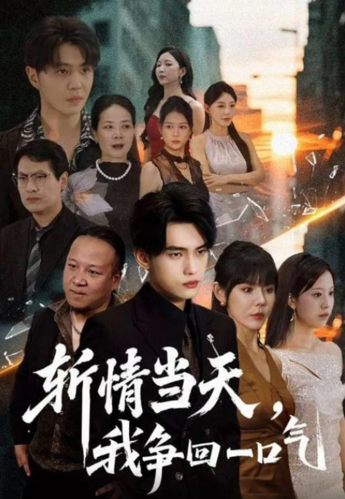斩情当天我争回一口气海报