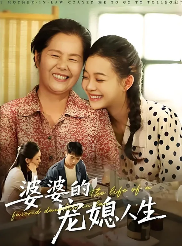 婆婆的宠媳人生海报