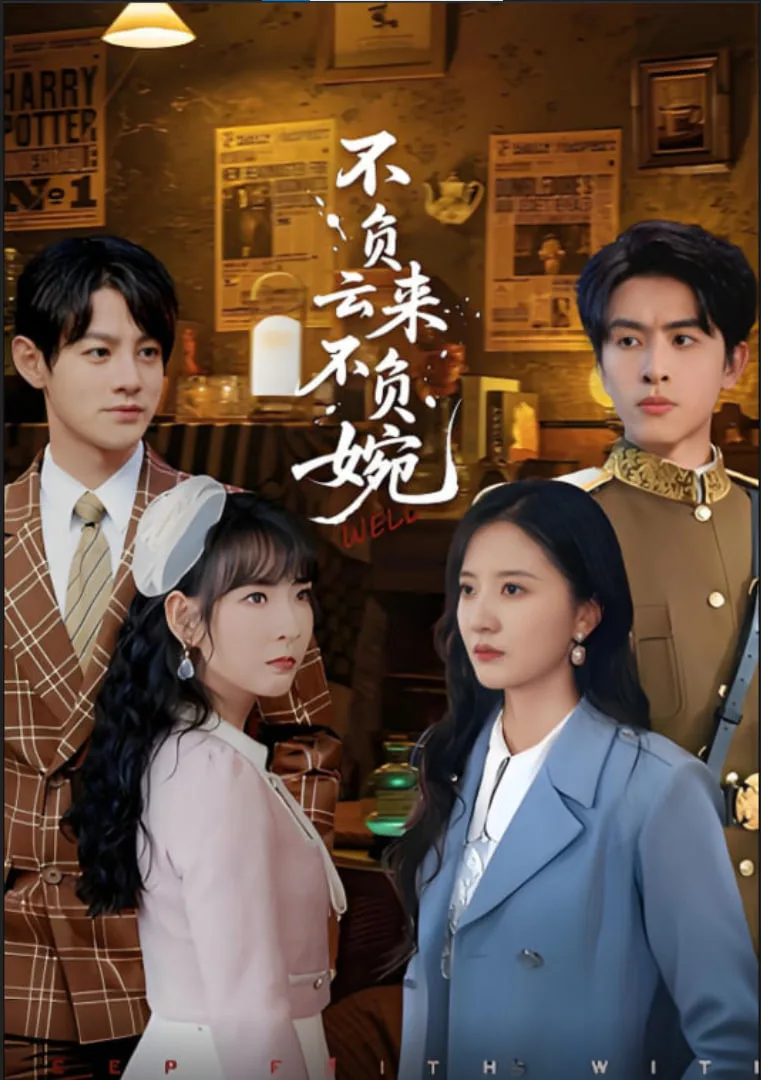 不负云来不负婉海报