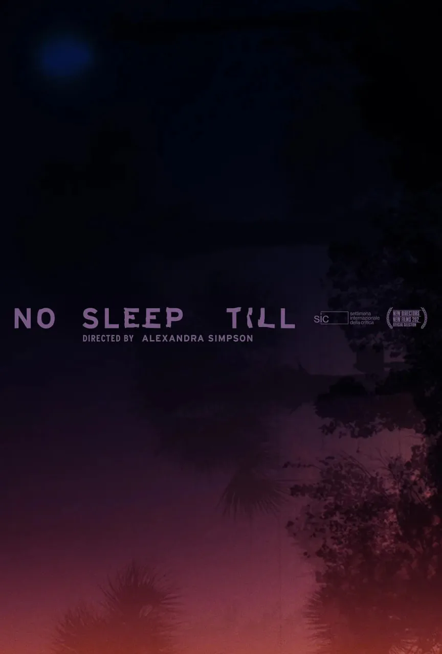 一夜无眠海报