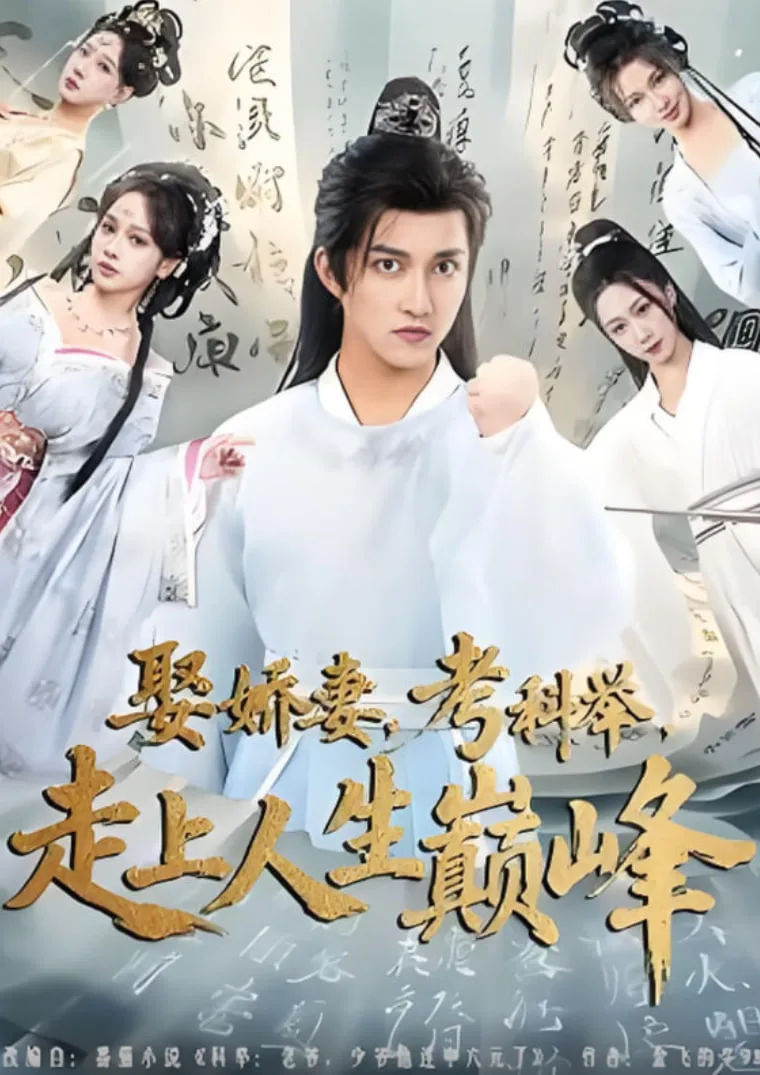 娶娇妻，考科举，走上人生巅峰海报