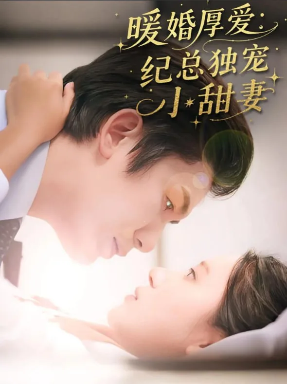 暖婚厚爱纪总独宠小甜妻海报