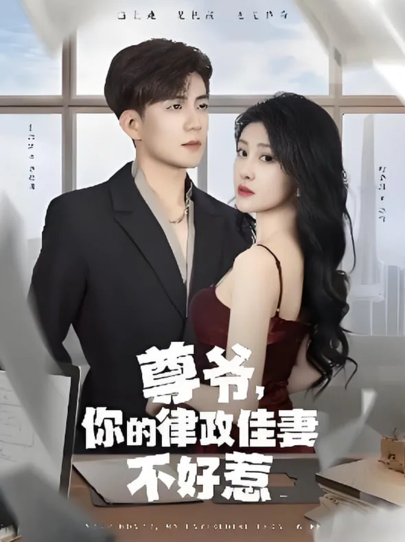 尊爷你的律政娇妻不好惹海报