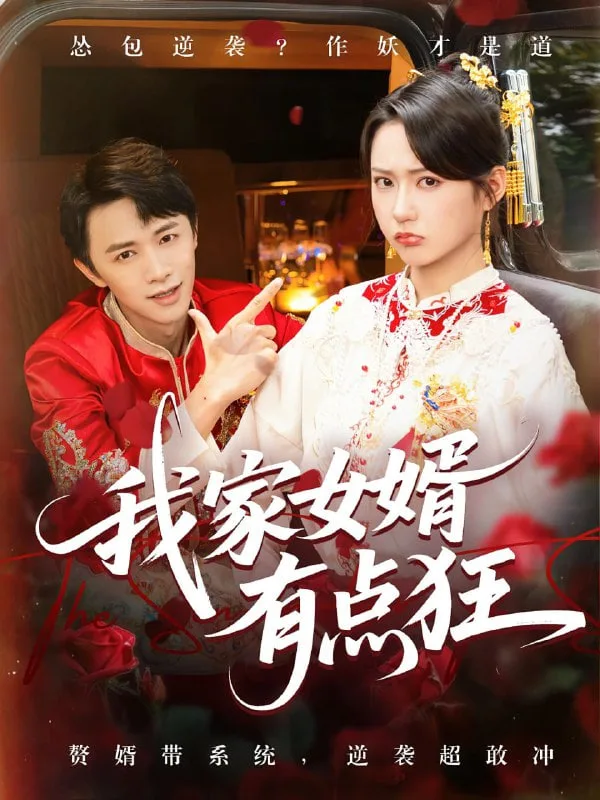 我家女婿有点狂海报