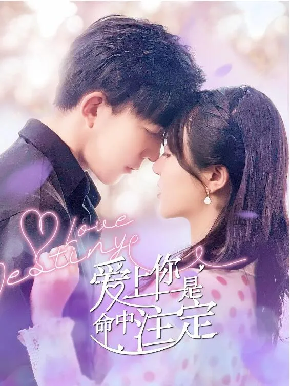 爱上你是命中注定海报