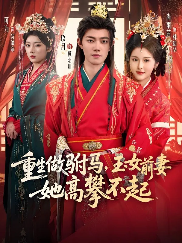 重生做驸马，玉女前妻她高攀不起海报