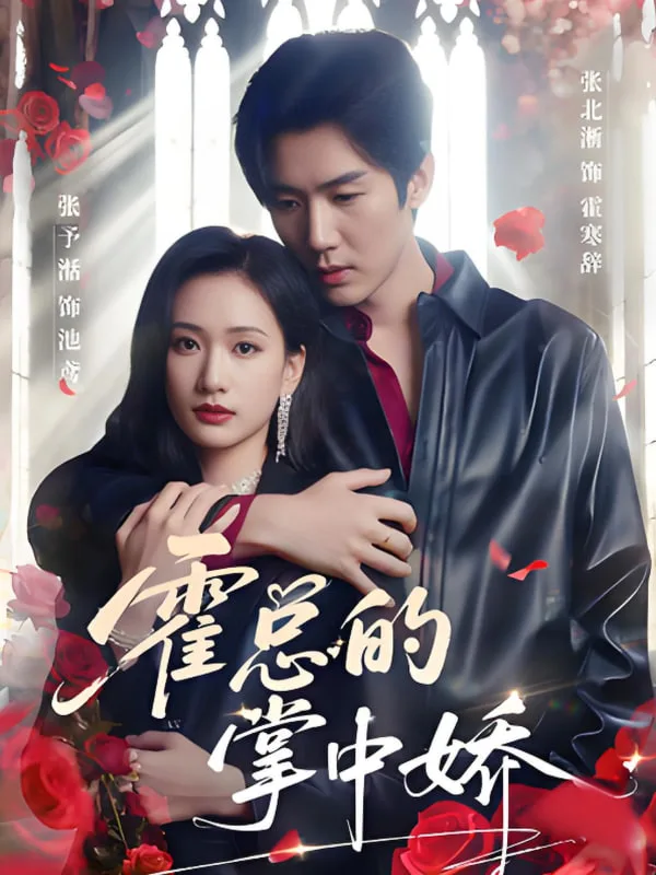 霍总的掌中娇海报