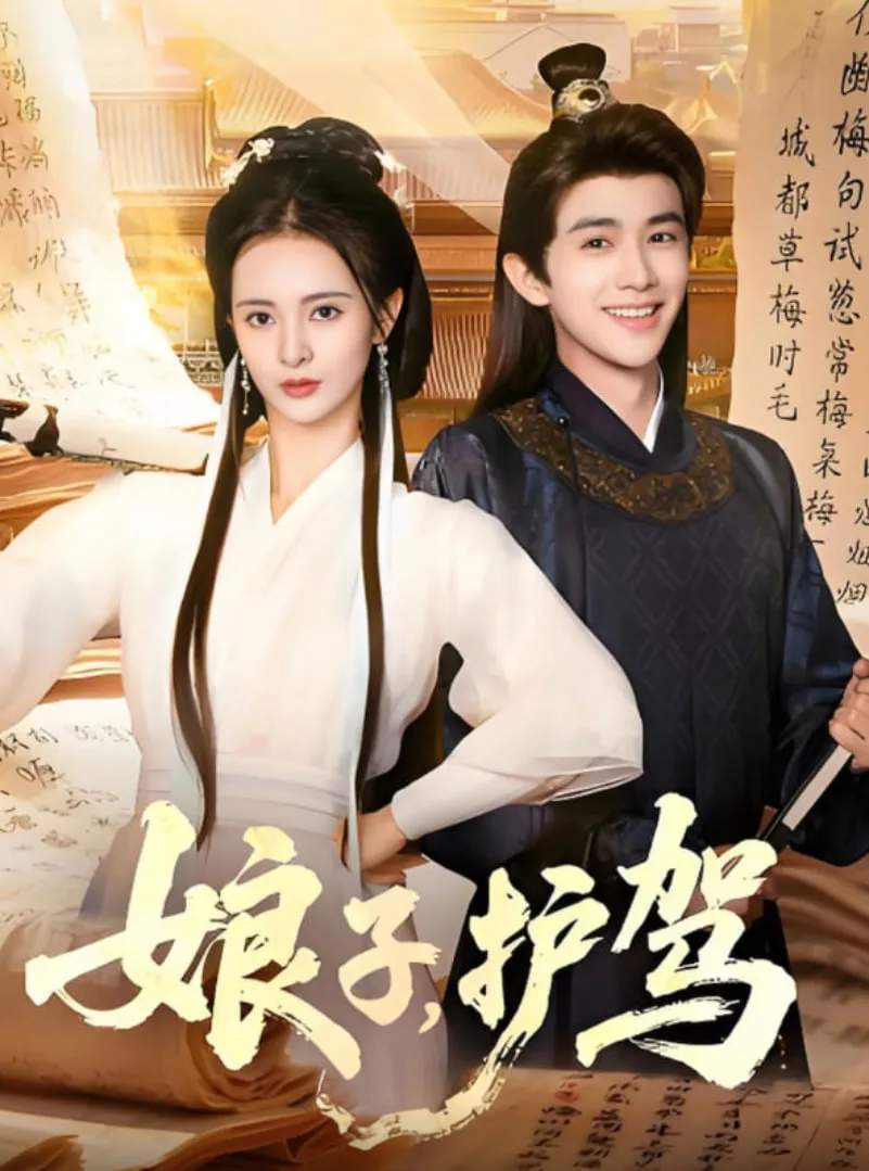 娘子护驾海报