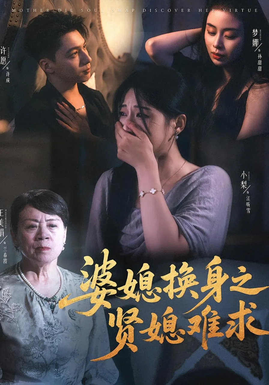 婆媳换身之贤媳难求海报