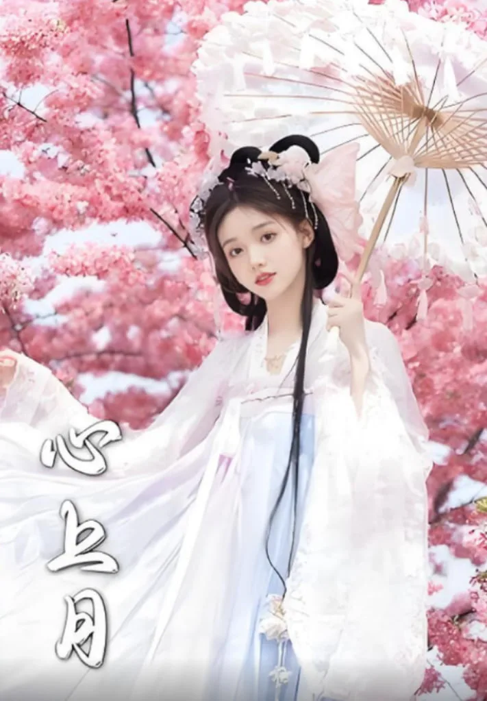 心上月海报