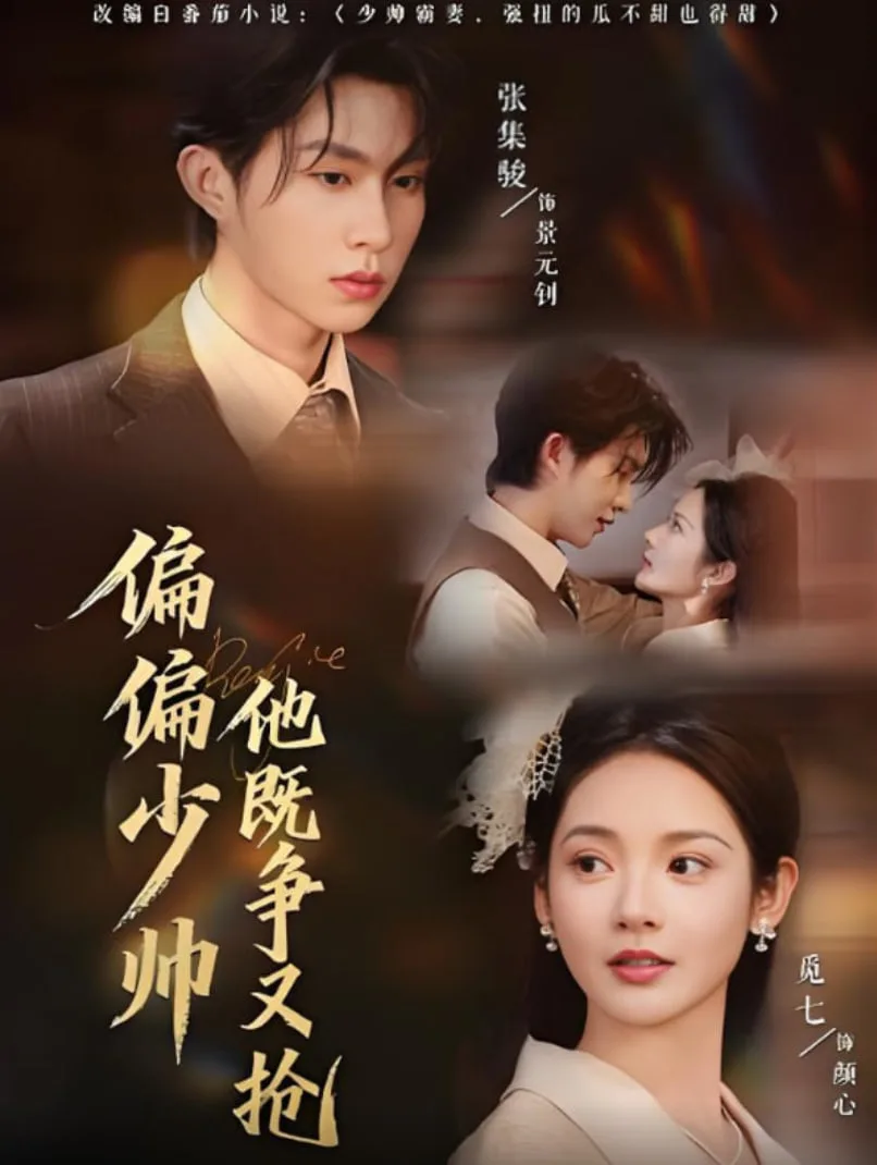 偏偏少帅他既争又抢海报