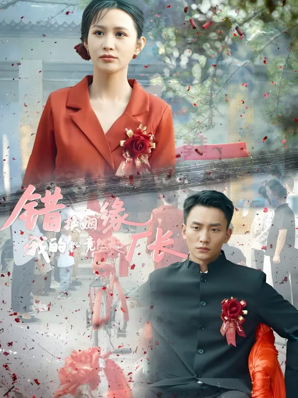 错换姻缘，我的老公竟然是厂长海报
