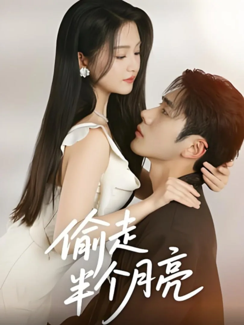 偷走半个月亮海报