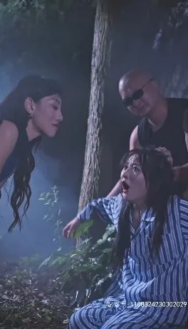 龙少别虐了，夫人已重生（龙少别傲娇）海报