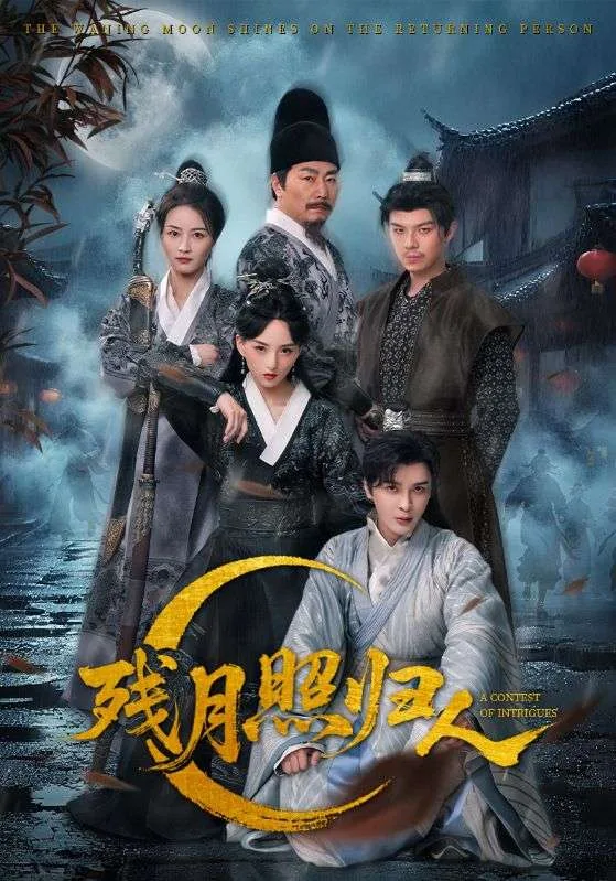 残月照归人海报