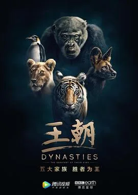 王朝 第一季 国语版海报