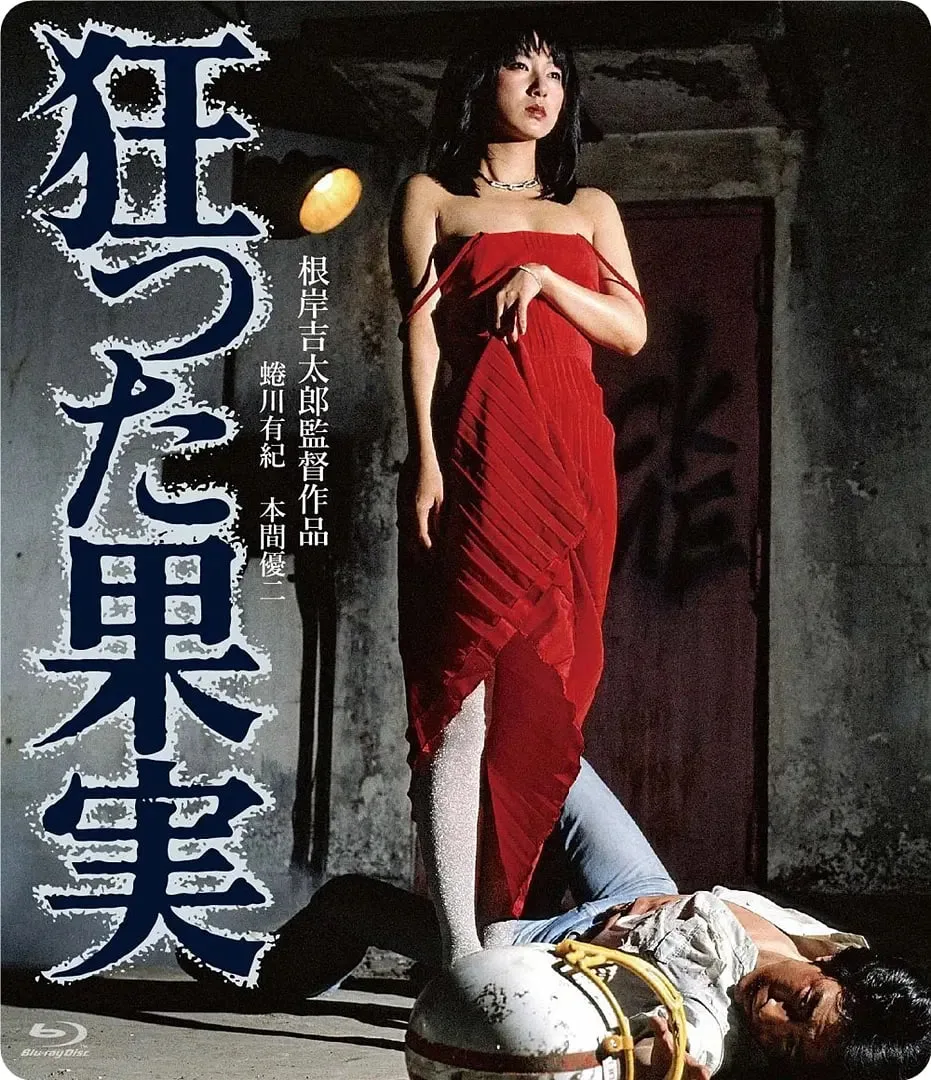 疯狂的果实 1981海报
