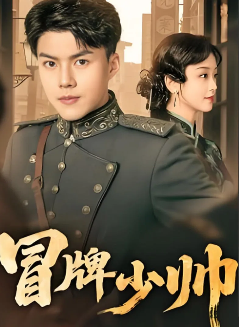 冒牌少帅海报