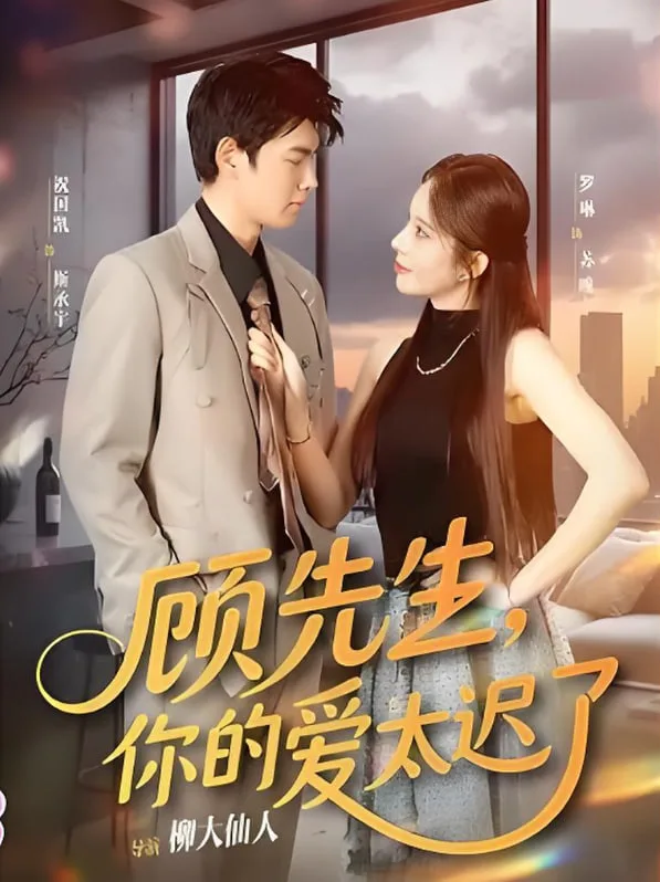 顾先生你的爱太迟了海报