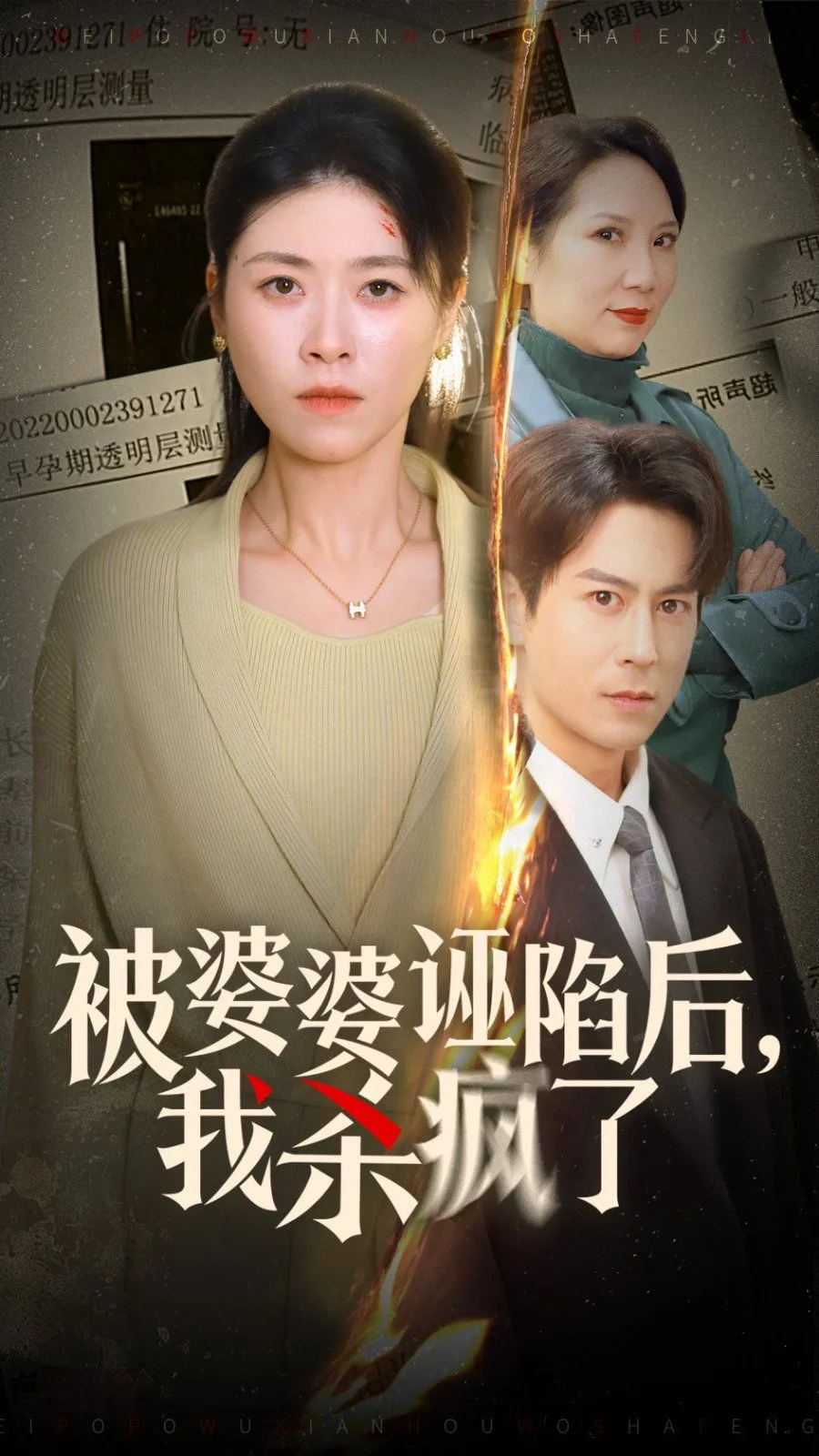 被婆婆诬陷后我杀疯了海报