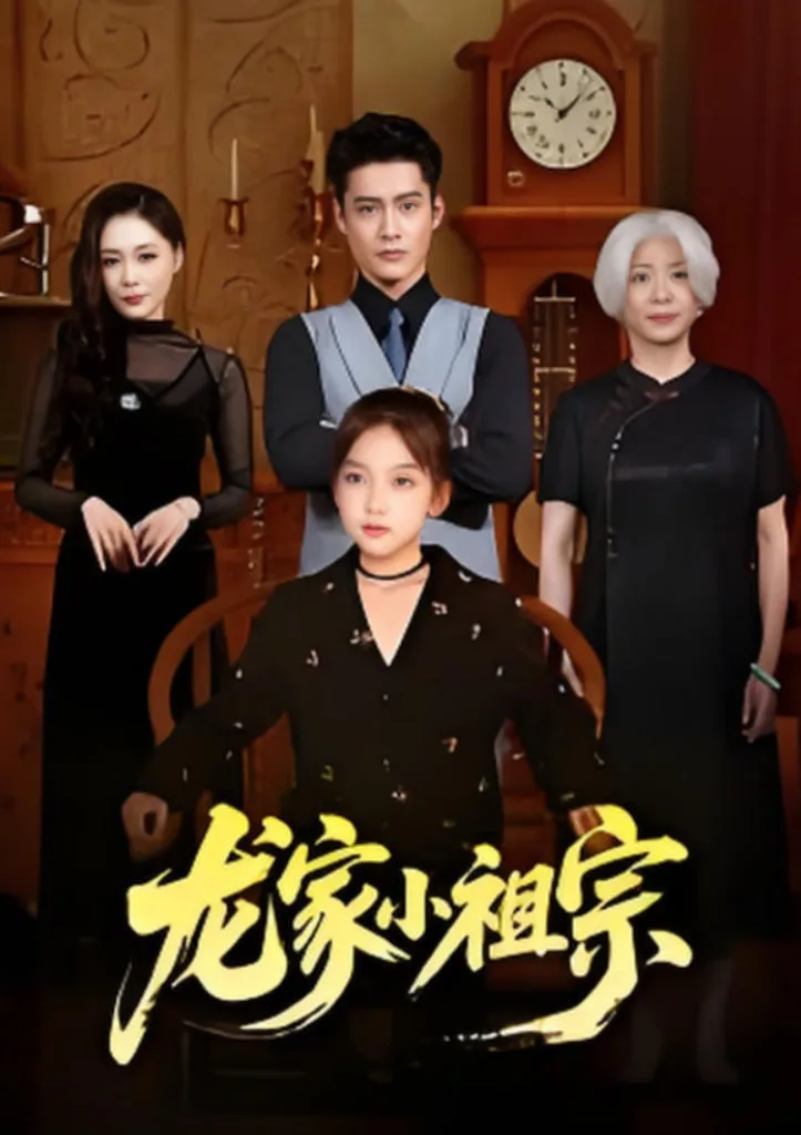龙家小祖宗海报