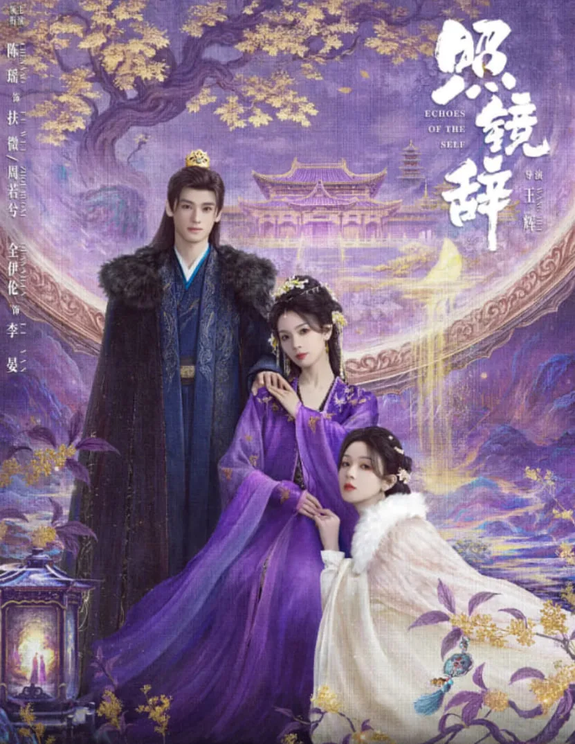 照镜辞海报