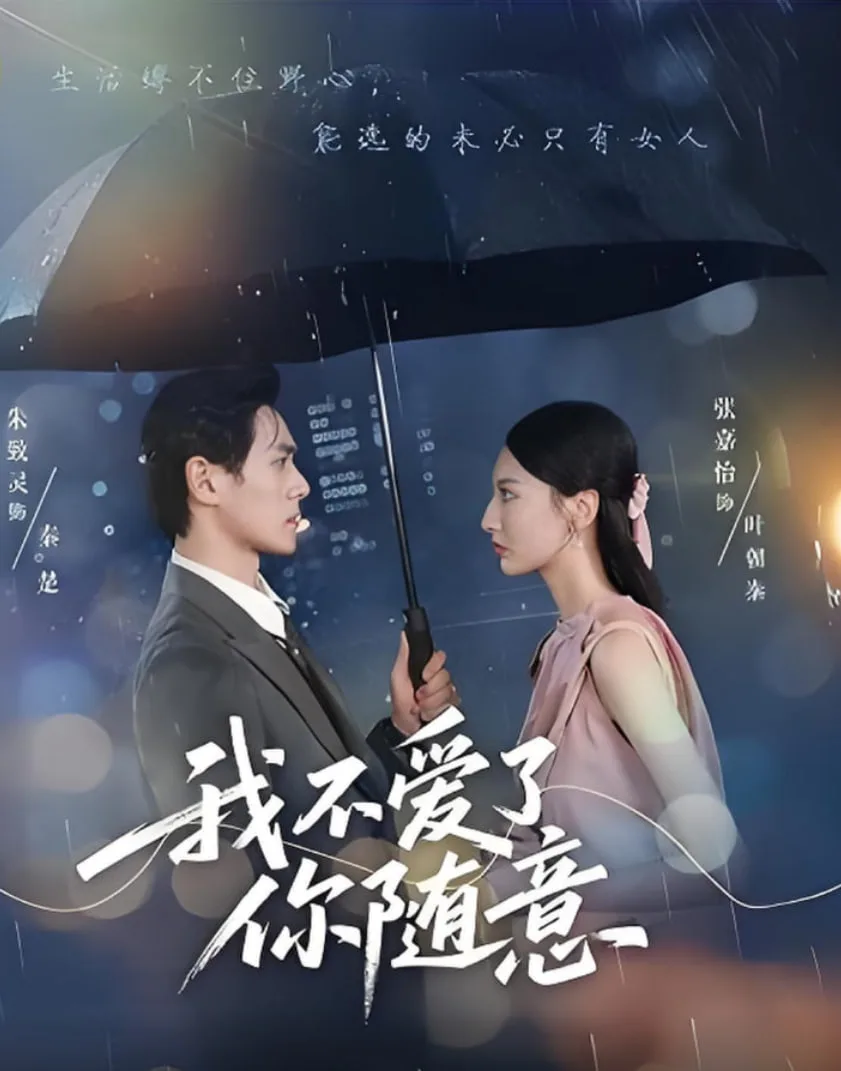 我不爱了你随意海报