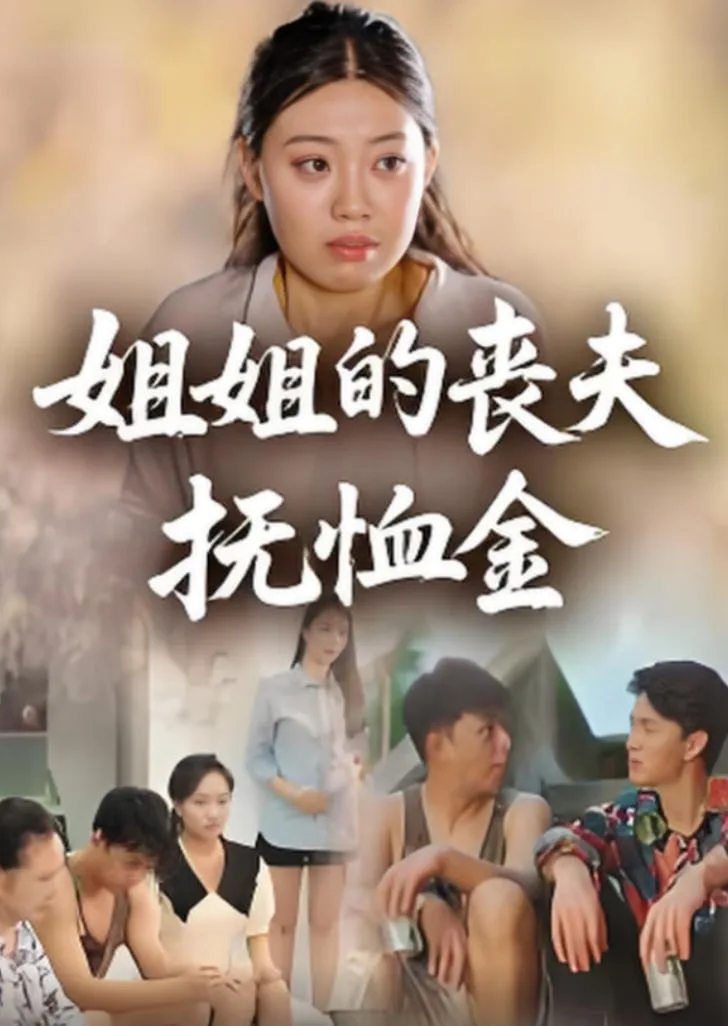 姐姐的丧夫抚恤金海报