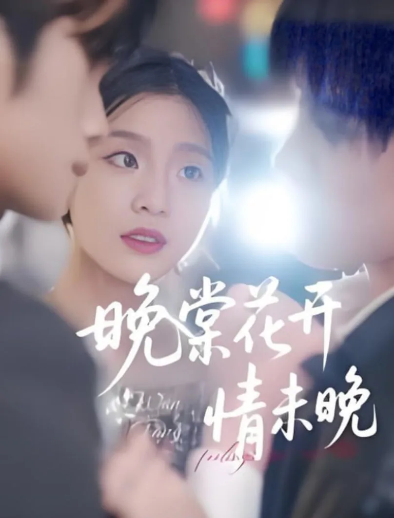 晚棠花开情未晚海报
