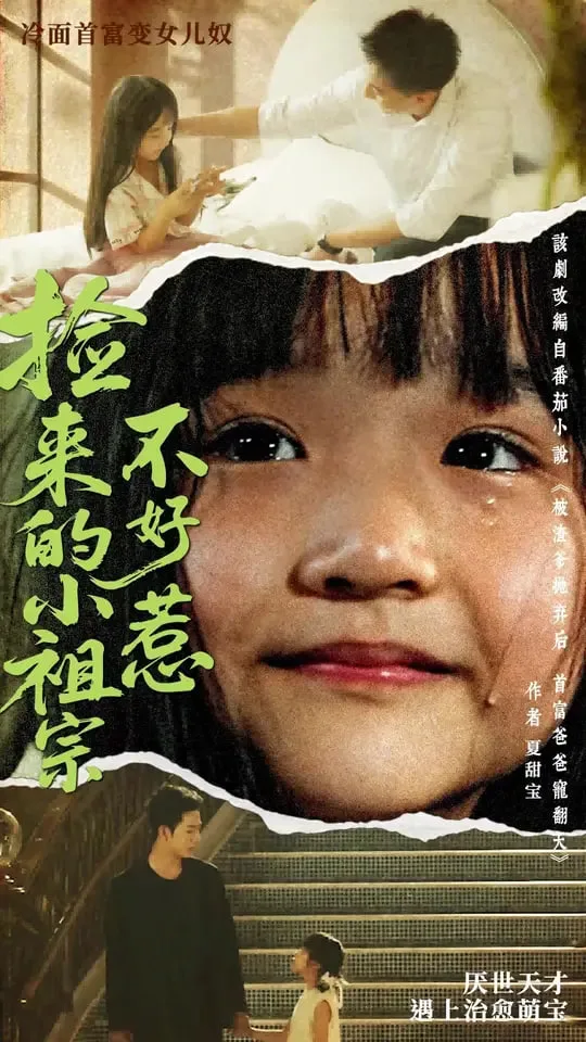 捡来的小祖宗不好惹海报
