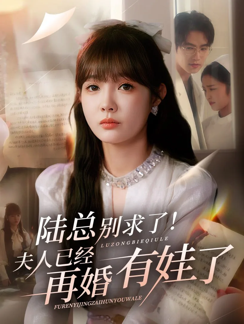 陆总别求了夫人已经再婚有娃了海报