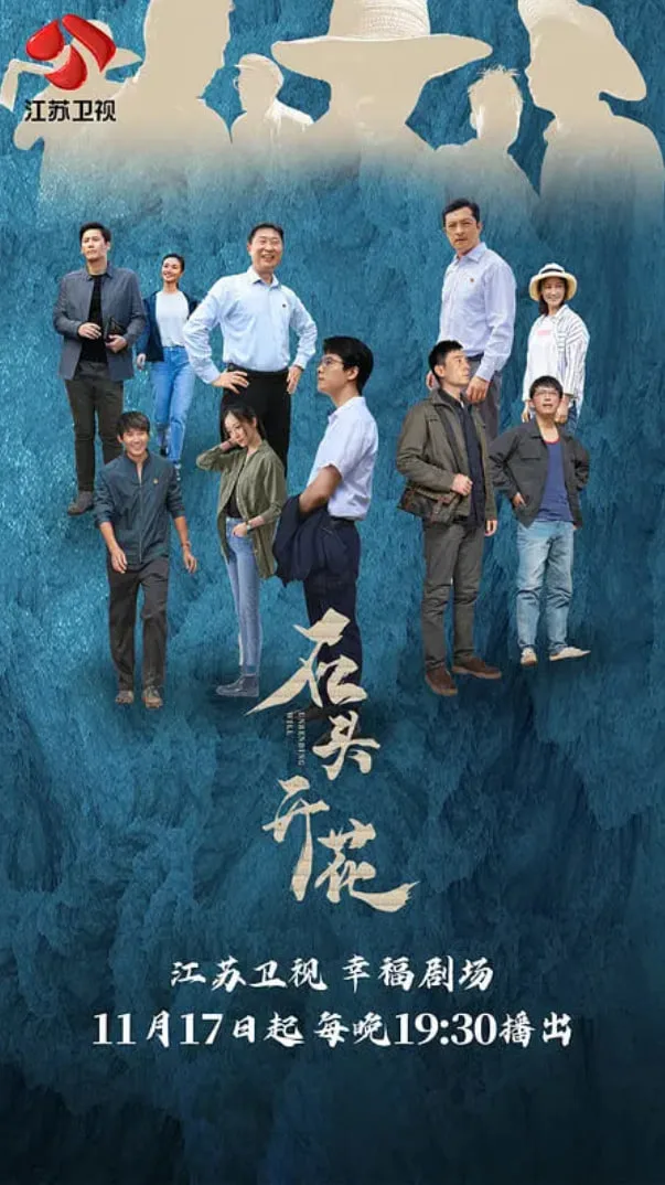 石头开花海报