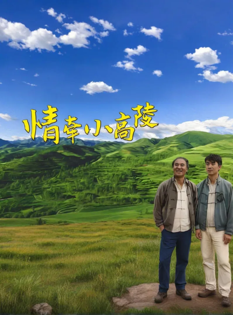 情牵小高陵海报