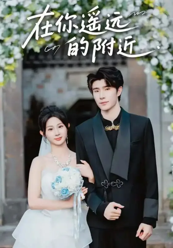 在你遥远的附近海报