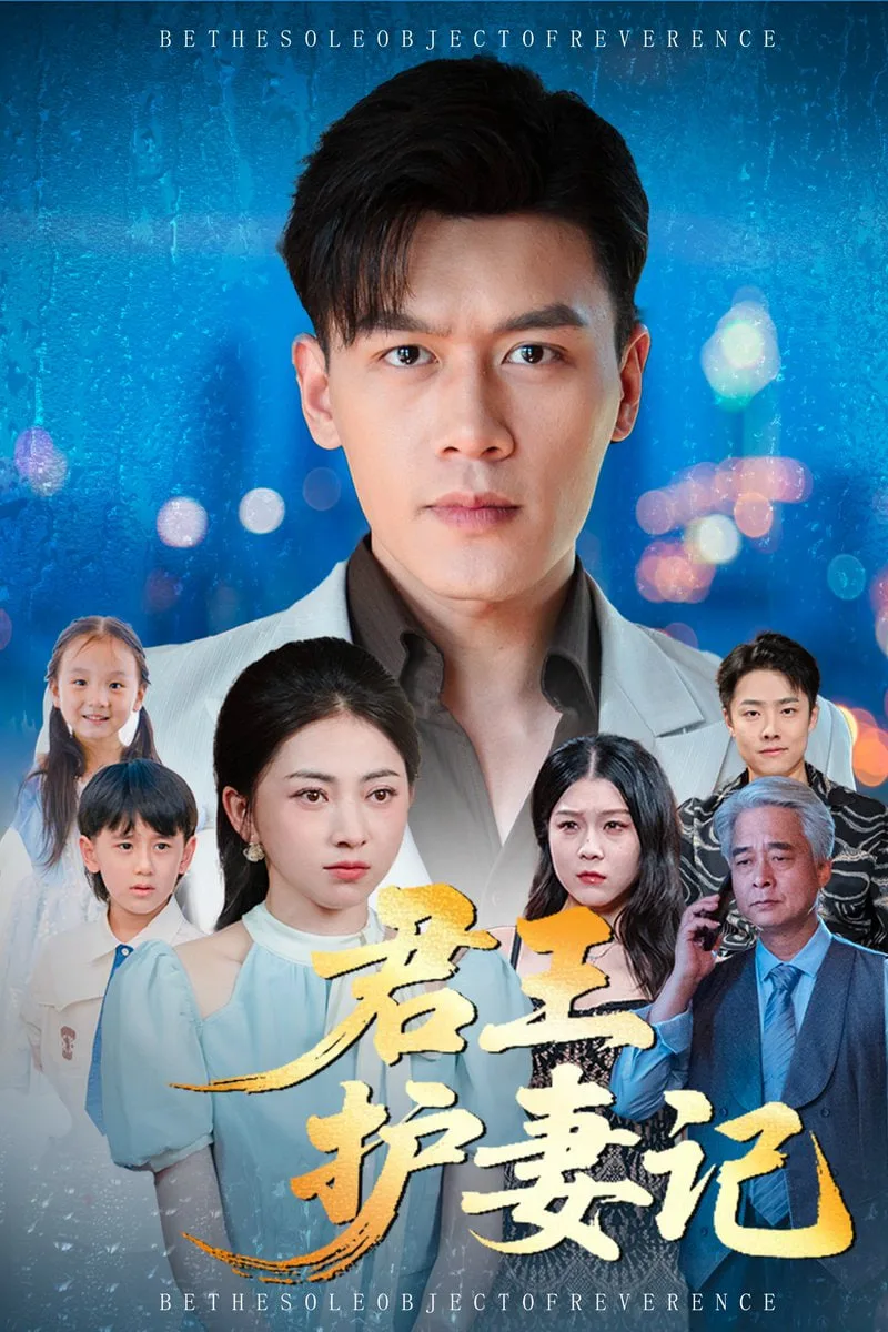 君王护妻记（独尊）海报