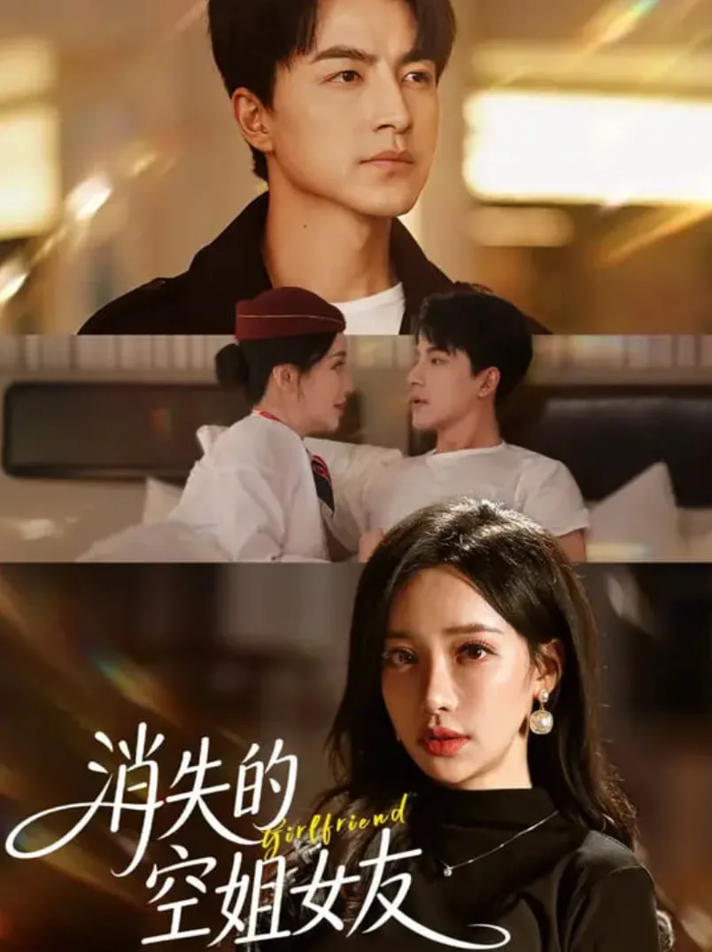 消失的空姐女友海报