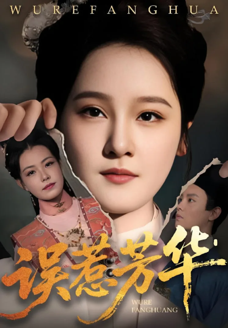 误惹芳华海报