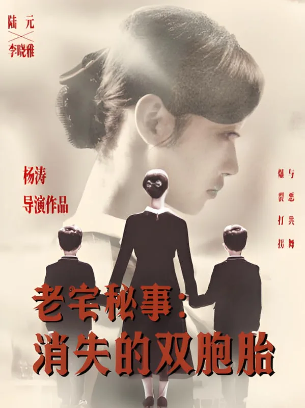 老宅秘事消失的双胞胎（消失的孩子）海报