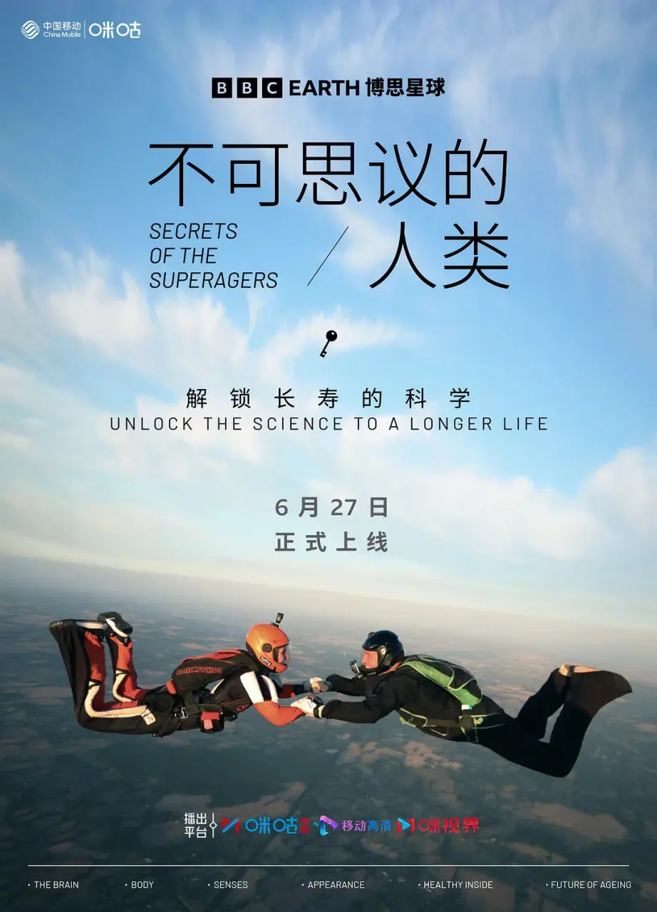 不可思议的人类 第一季海报
