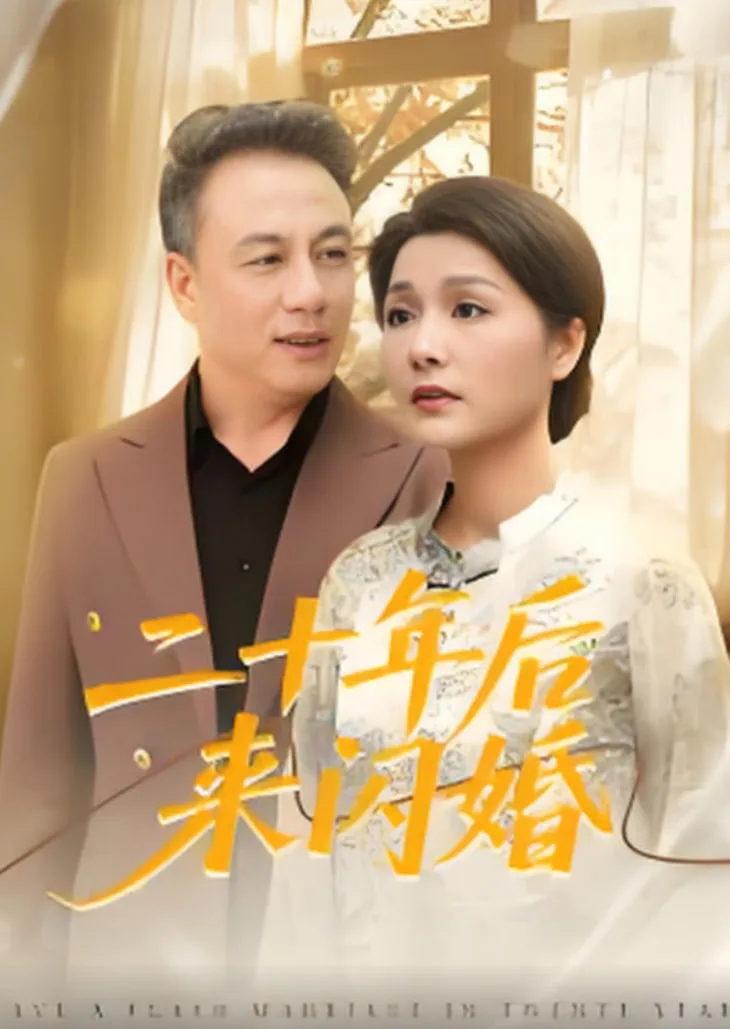 二十年后来闪婚海报