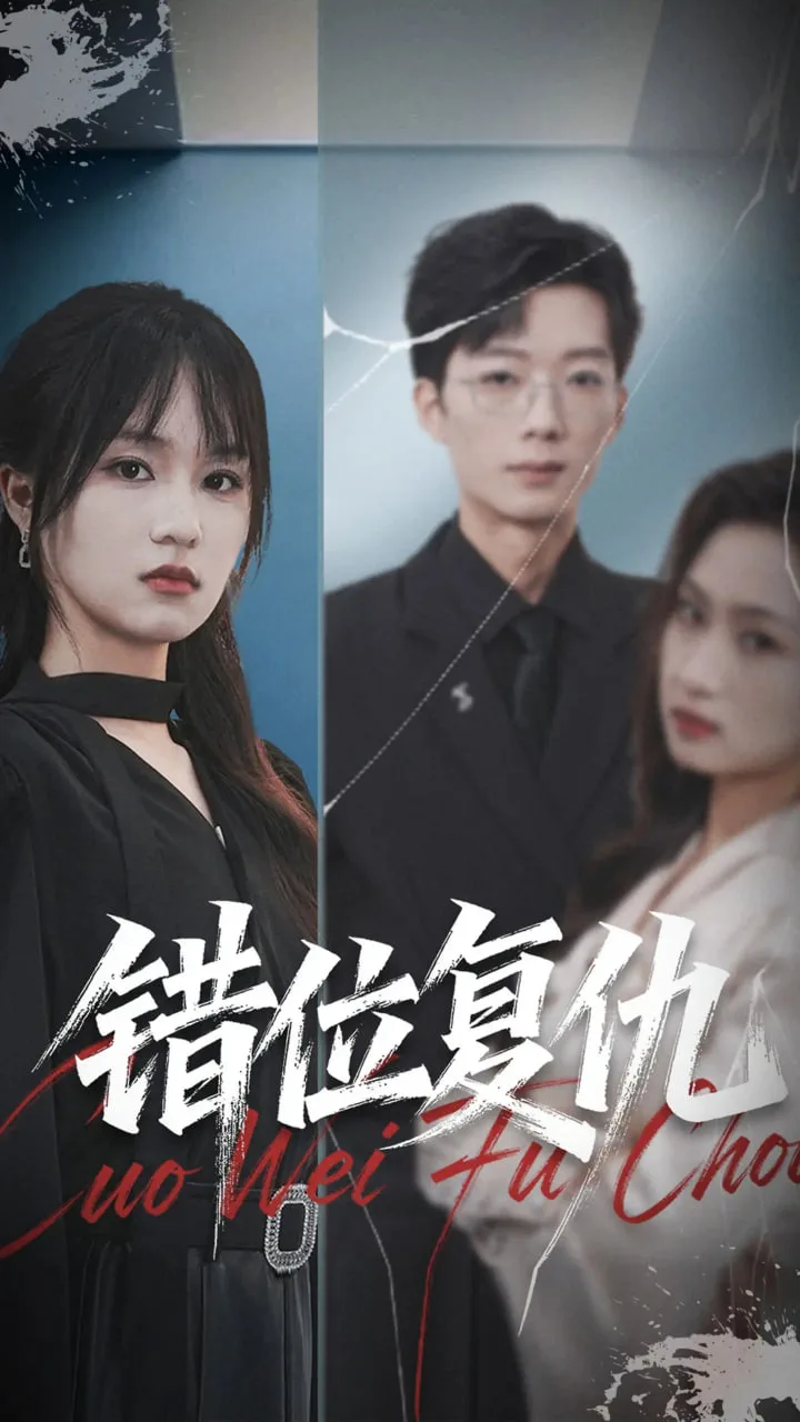 错位复仇海报