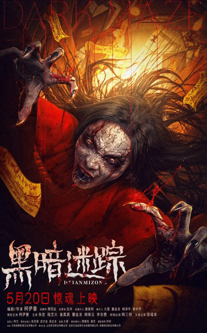 黑暗迷踪海报